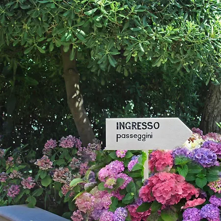 President 3* Cattolica