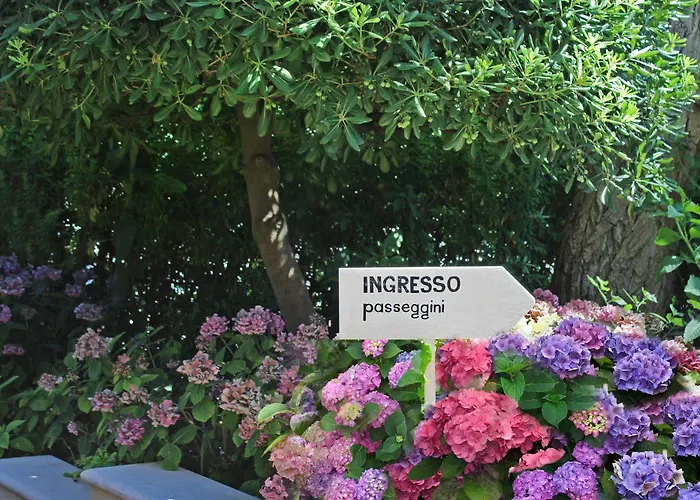 بريزيدنت 3* كاتوليكا